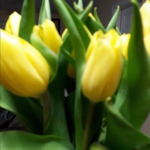 Meet your Posher, Donna